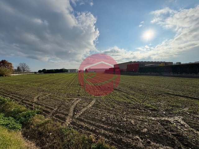 Land in Longiano, Emilia-Romagna, Italy 4 - 15018180