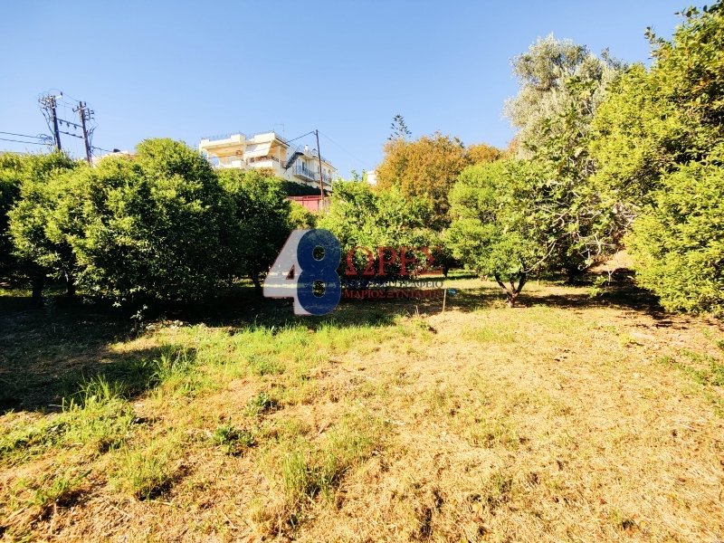 Land in Chios, Aegean, Greece 1 - 15012723