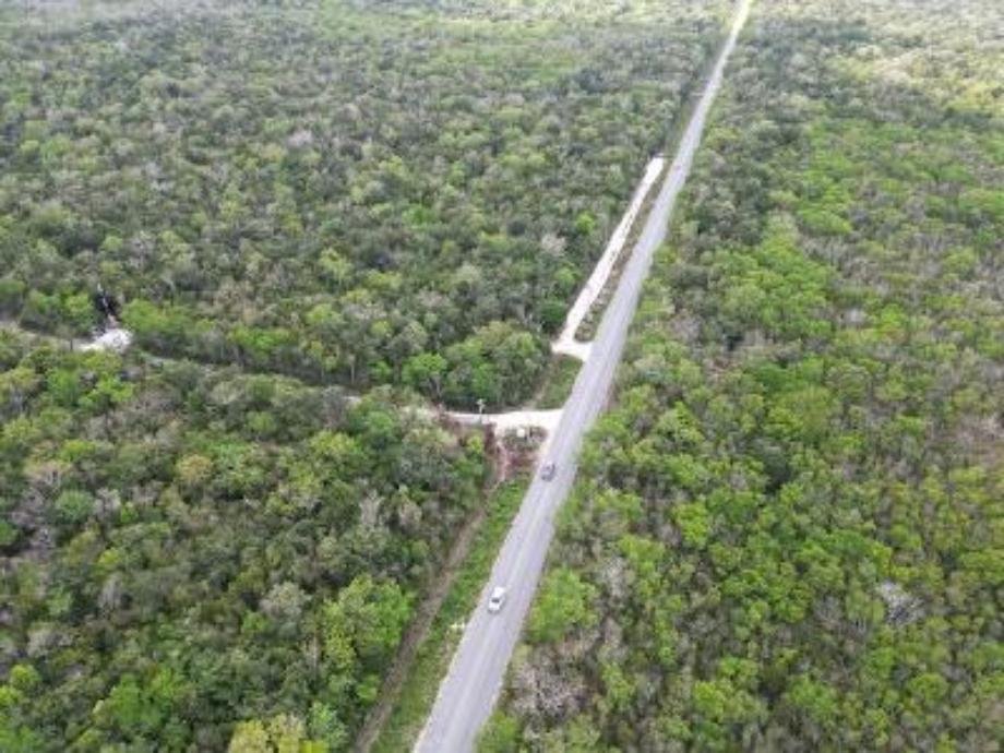 Land in Puerto Morelos, Quintana Roo, Mexico 5 - 15012364