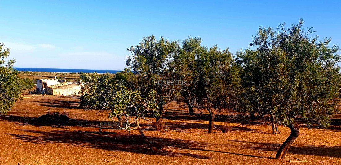 Farm Ranch in Santa Luzia, Algarve, Portugal 3 - 14544077