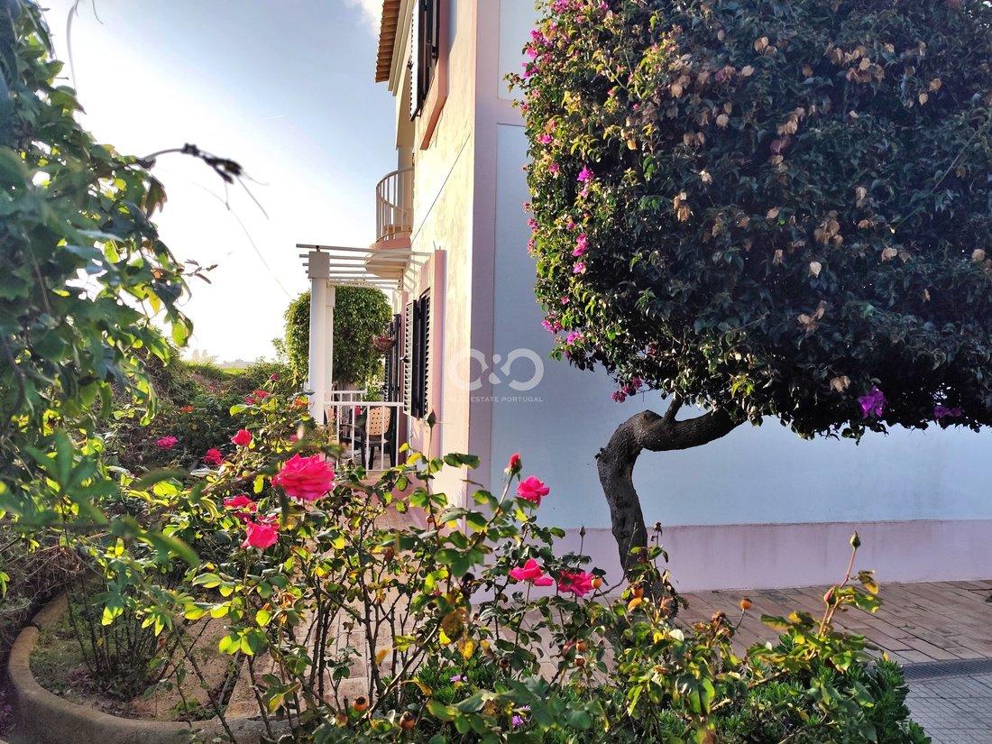 Villa in Sagres, Algarve, Portugal 5 - 15012474