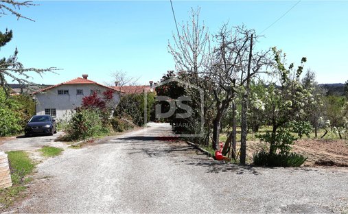 Rancho en Campo, Distrito de Viseu, Portugal 1
