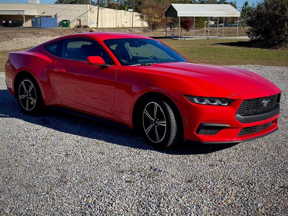2024 Ford Mustang In Hattiesburg, Ms, United States For Sale (15014961)