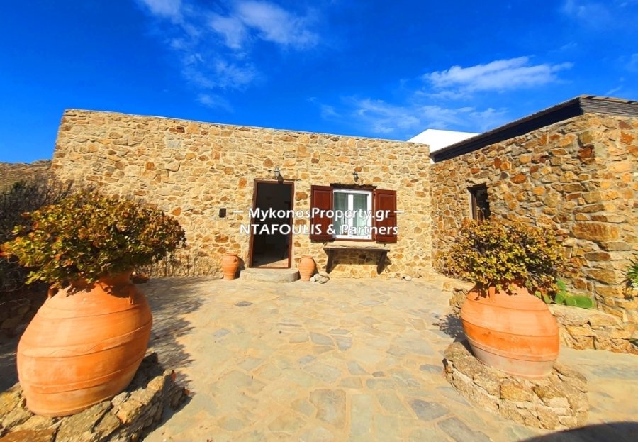 Apartment in Mykonos, Aegean, Greece 3 - 11553557