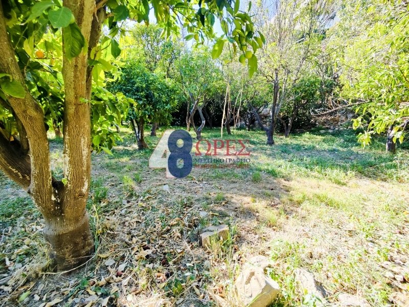 Land in Chios, Aegean, Greece 3 - 15012723