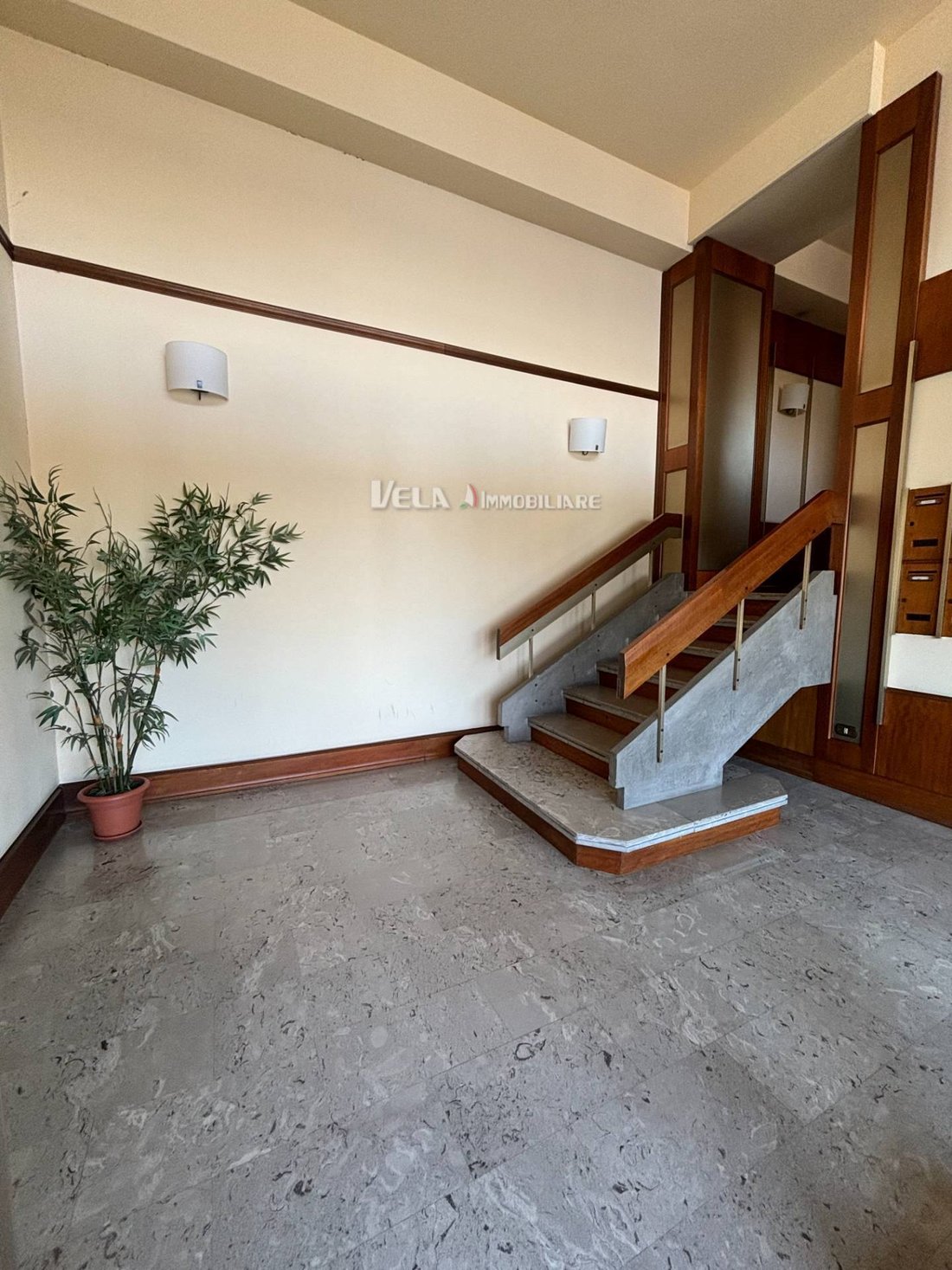 Apartment in Saint Anthony - Saint Lucia - Marina di Sotto, San Benedetto del Tronto, Marche 3 - 14708511