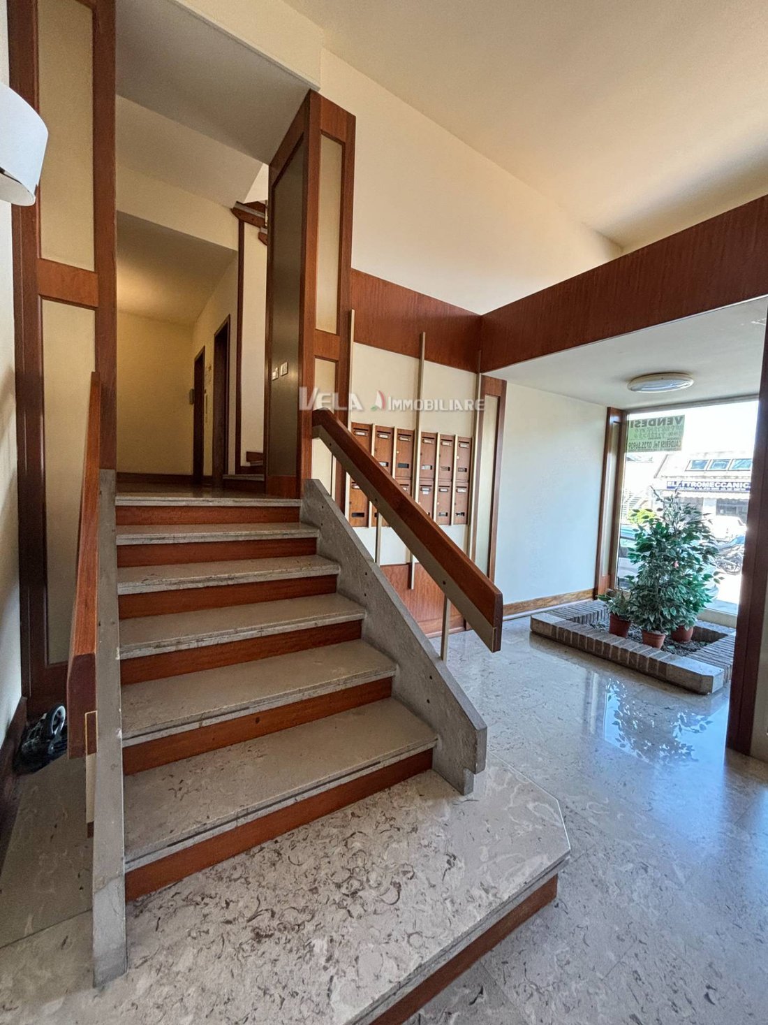 Apartment in Saint Anthony - Saint Lucia - Marina di Sotto, San Benedetto del Tronto, Marche 4 - 14708511