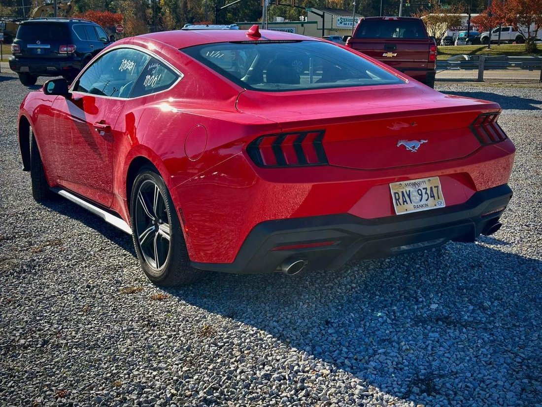 2024 Ford Mustang In Hattiesburg, Ms, United States For Sale (15014961)