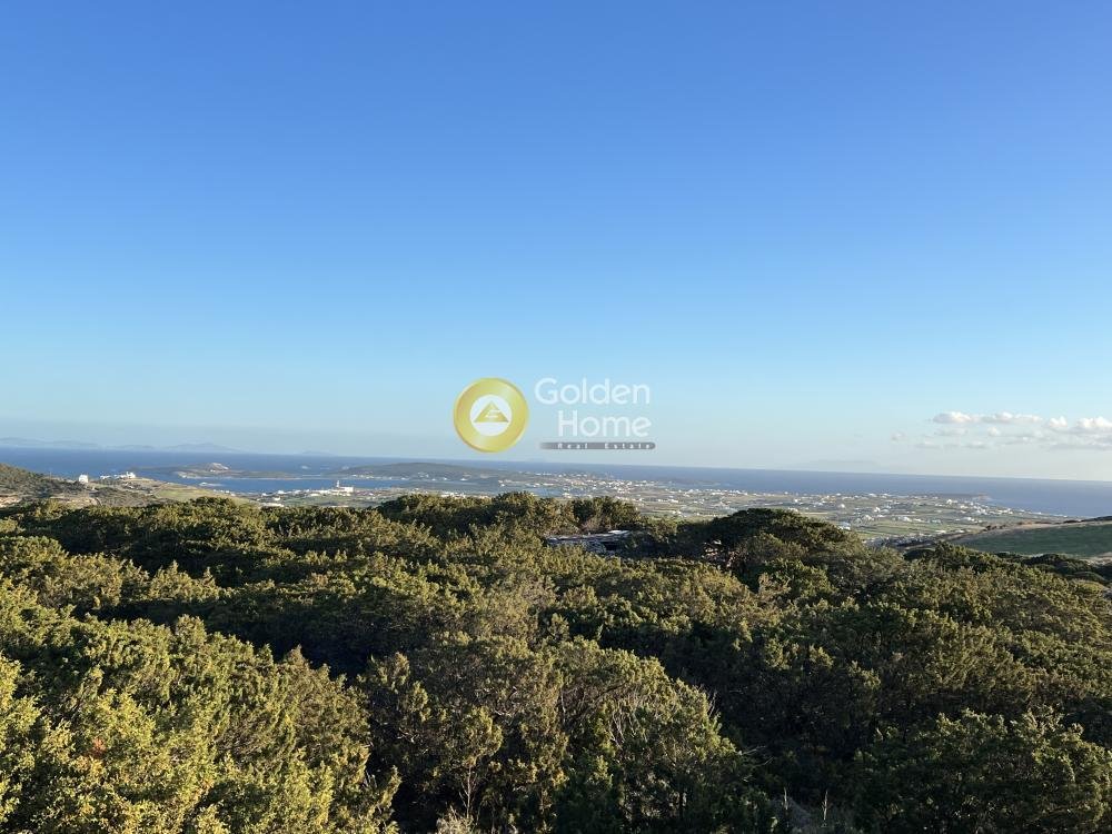 Land in Paros, Aegean, Greece 4 - 15012992
