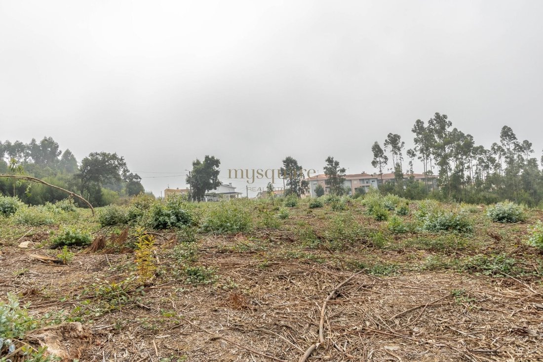 Land in Sao Joao de Ver, Aveiro District, Portugal 1 - 15016170