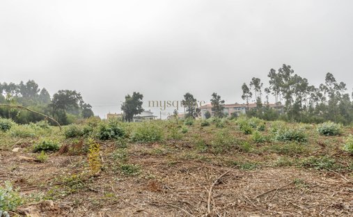 Land in Sao Joao de Ver, Aveiro District, Portugal 1
