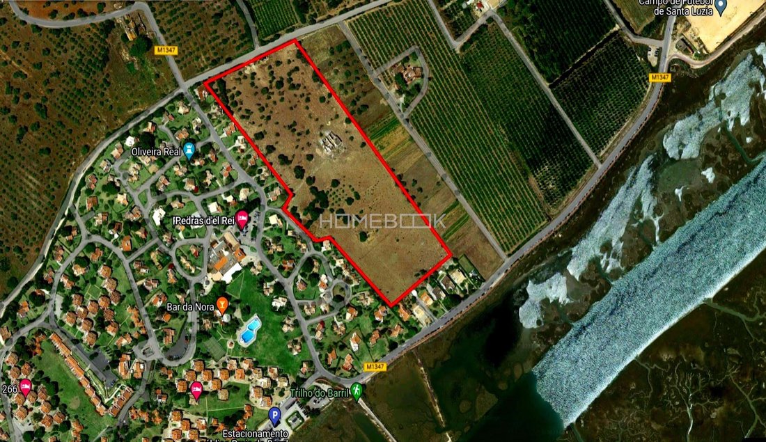 Farm Ranch in Santa Luzia, Algarve, Portugal 4 - 14544077