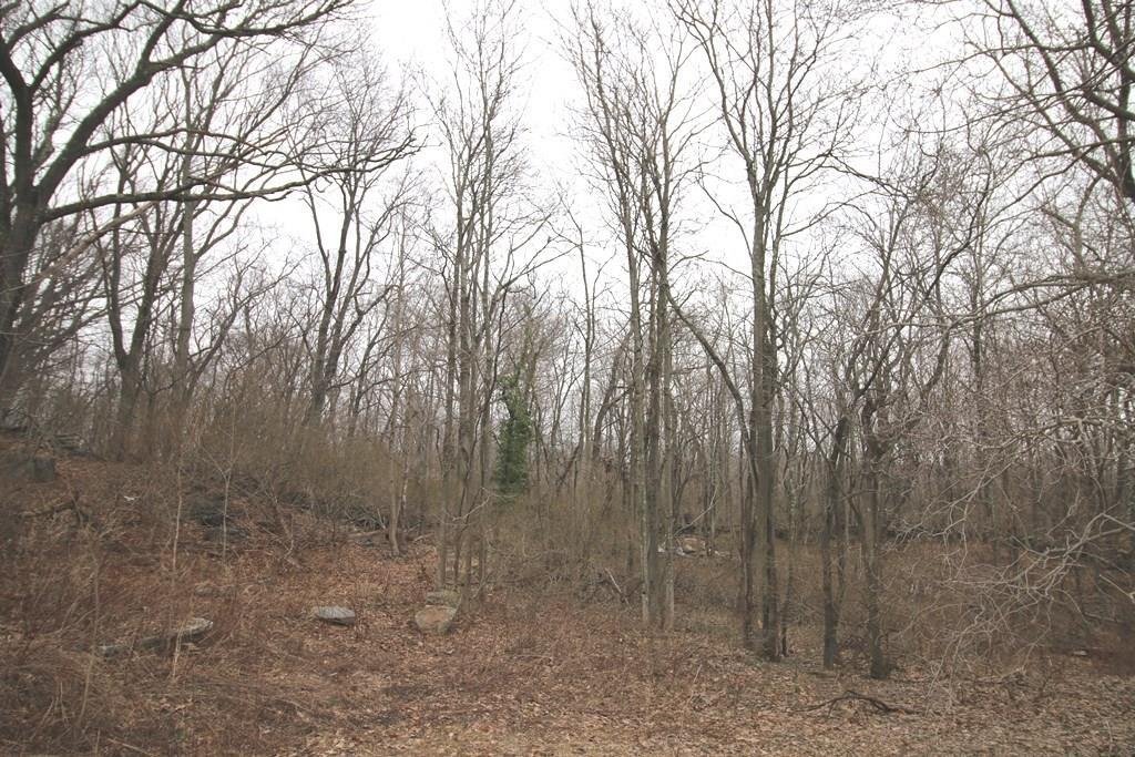 Land in Harrison, New York, United States 3 - 12993714