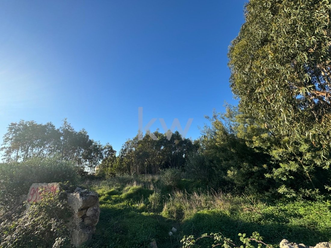Land in Alcabideche, Lisbon, Portugal 5 - 15019233