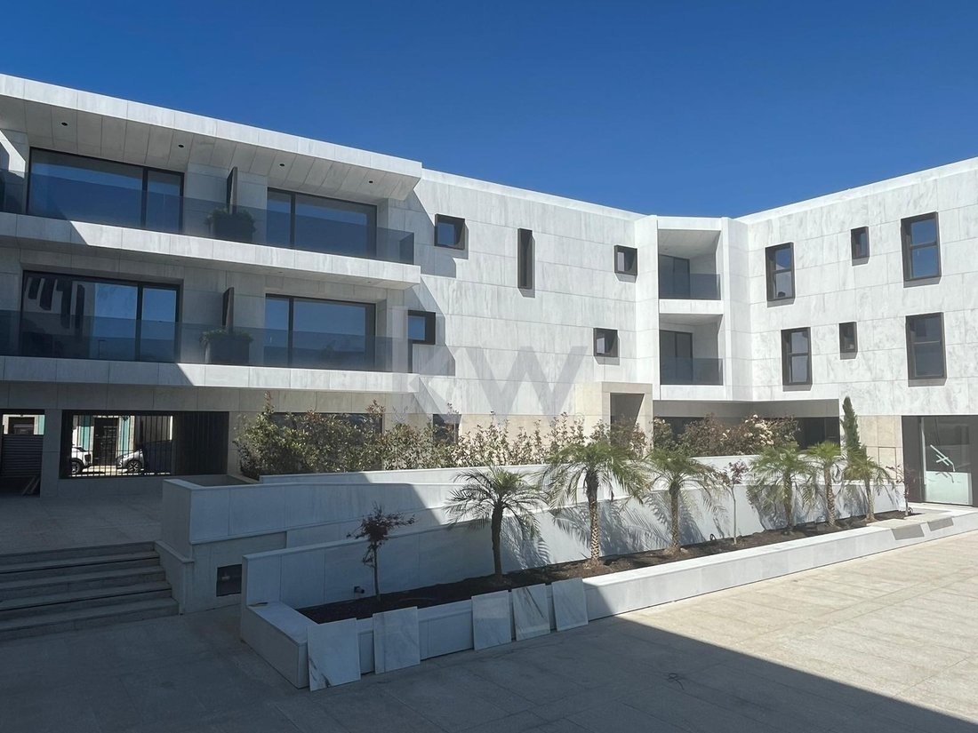 Apartment in Viana do Castelo, Viana do Castelo District, Portugal 1 - 14768069