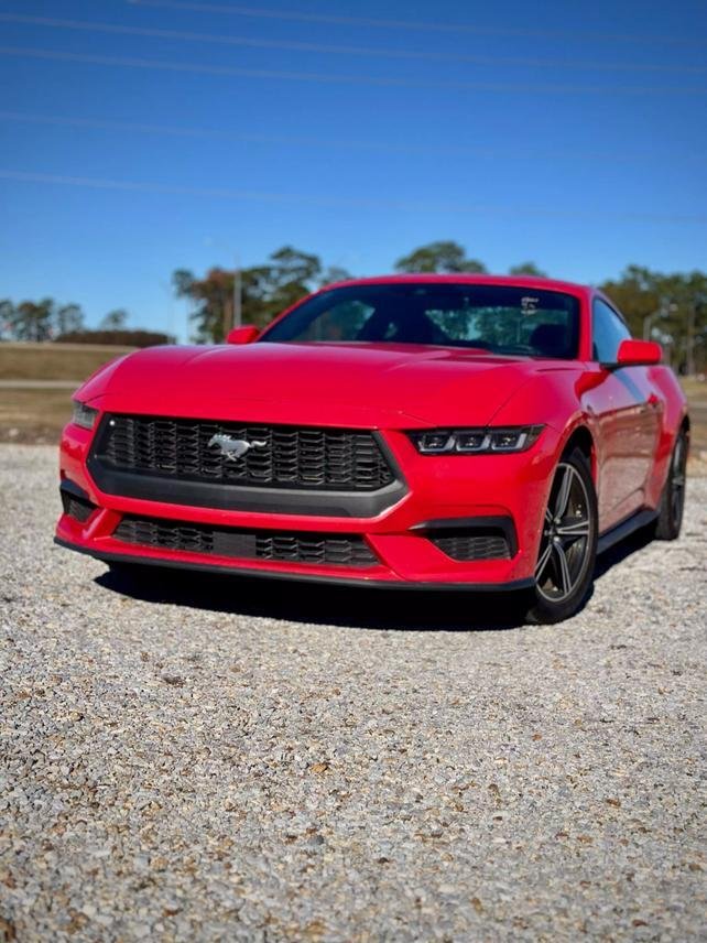 2024 Ford Mustang In Hattiesburg, Ms, United States For Sale (15014961)