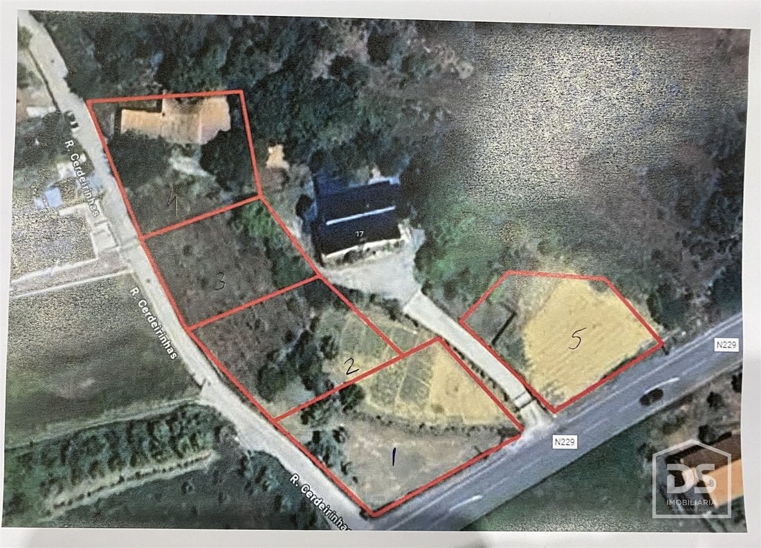 Farm Ranch in Cavernaes, Viseu District, Portugal 3 - 15012300