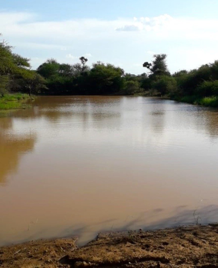 Farm Ranch in Lephalale, Limpopo, South Africa 1 - 15004421