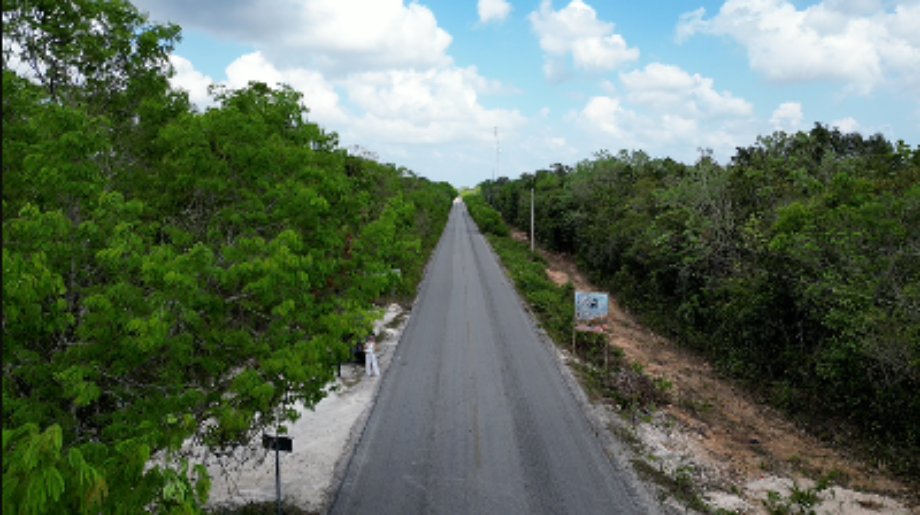 Land in Puerto Morelos, Quintana Roo, Mexico 4 - 15012364
