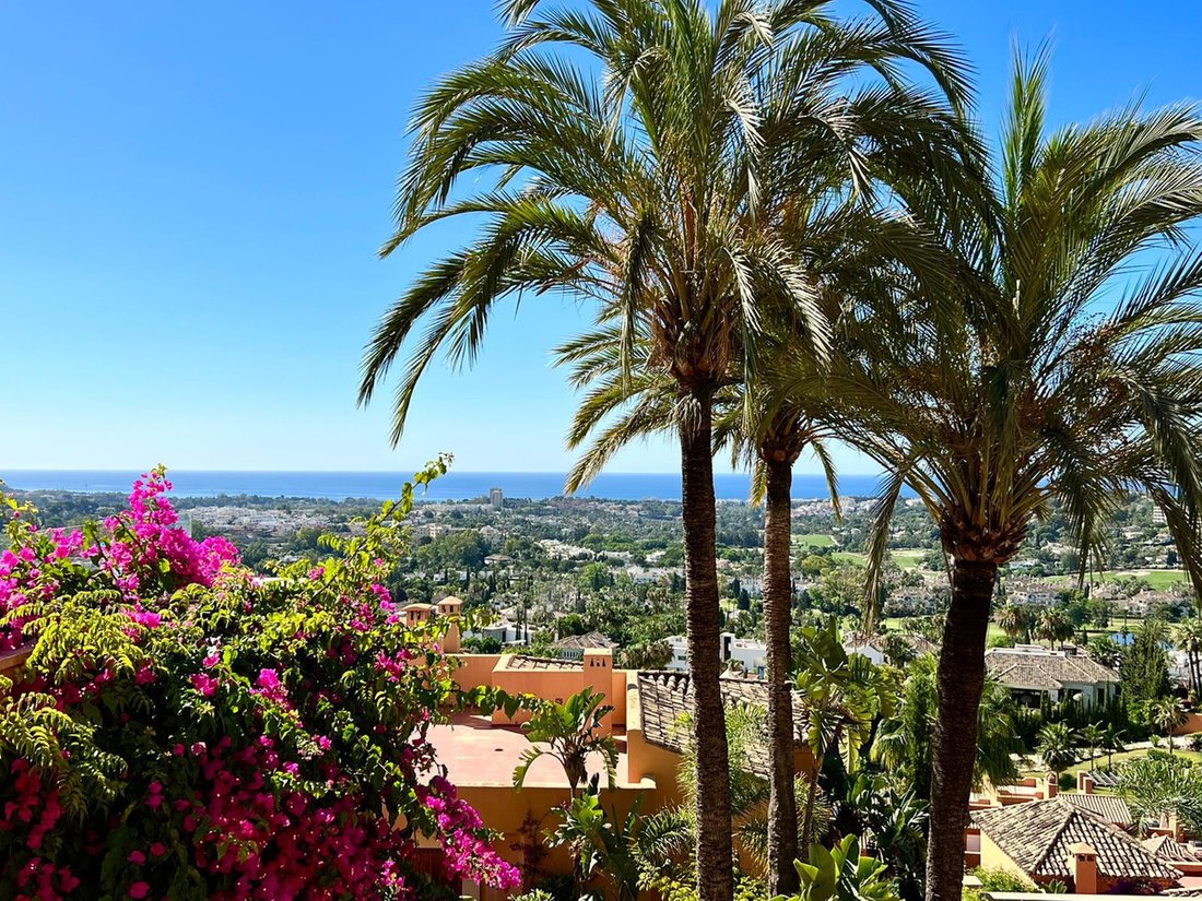 Curated visual reference: Visual Reference: Stunning Fully Renovated Duplex Penthouse In Nueva Andalucia Marbella