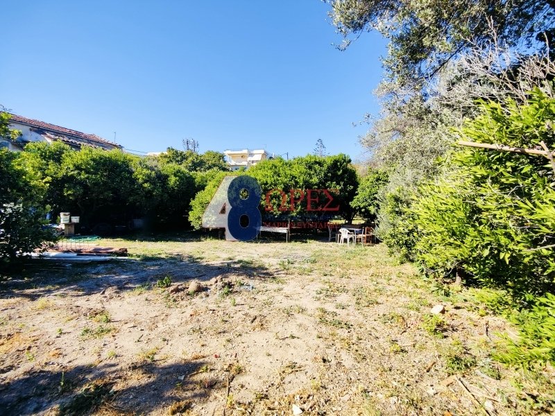 Land in Chios, Aegean, Greece 4 - 15012723