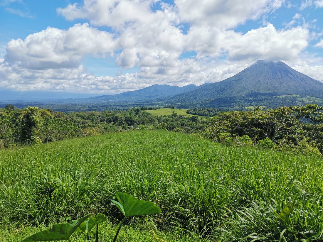Land in Hacienda Buenos Aires, Alajuela Province, Costa Rica 3 - 15012638