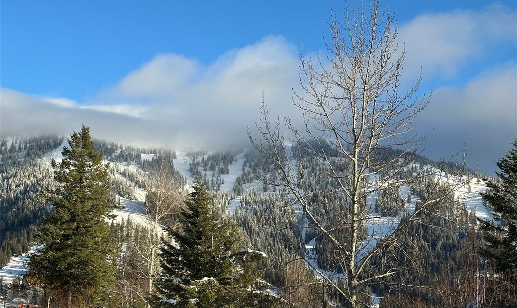 104 Sun Rise Court In Whitefish Montana United States For Sale (15025157)