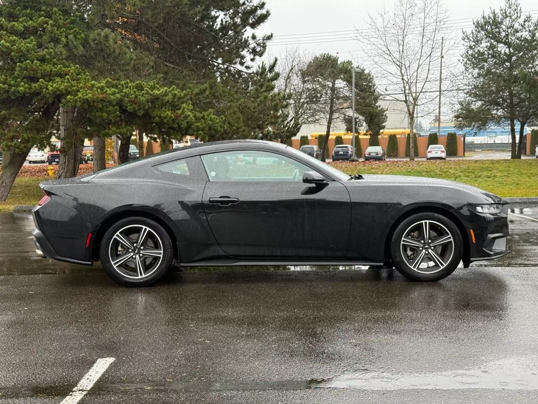 2025 Ford Mustang In Wa, United States For Sale (15025564)