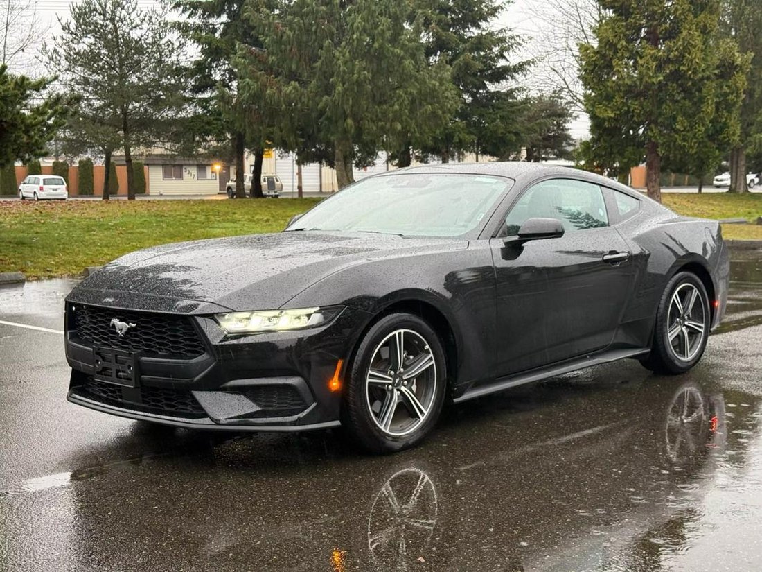2025 Ford Mustang In Wa, United States For Sale (15025564)