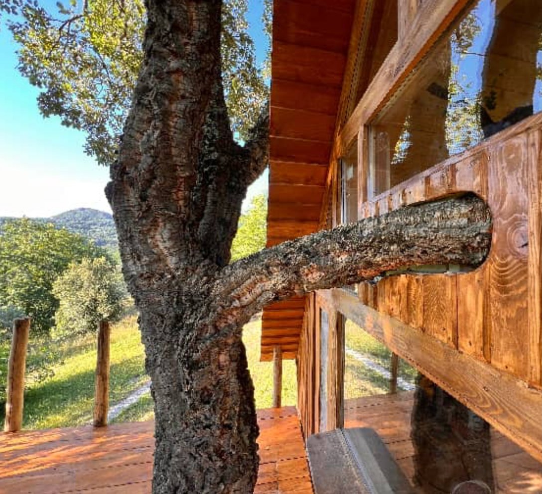 Domaine à Centre, Grosseto, Toscane 3 - 15021996