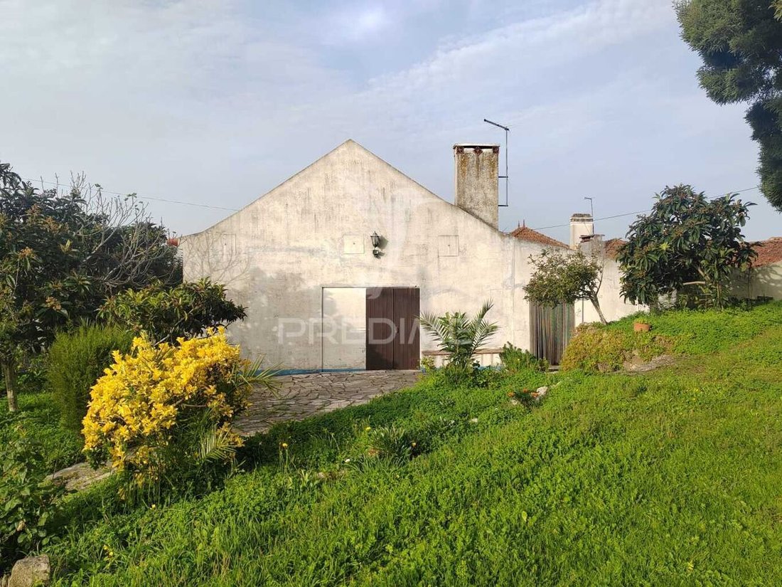 Farm Ranch in Ramalhal, Lisbon, Portugal 2 - 15028267