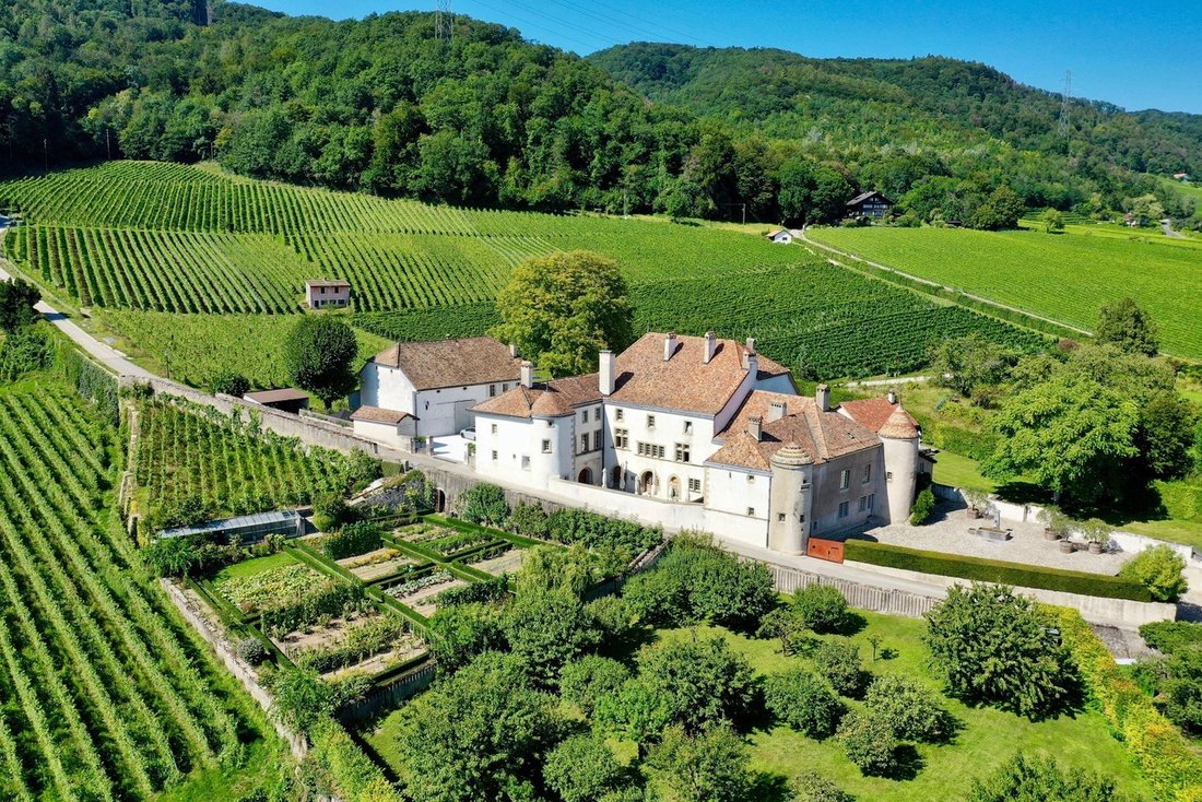 Le Rosey’s Timeless Embrace: A 13th-Century Château Crowned in Vine & Light