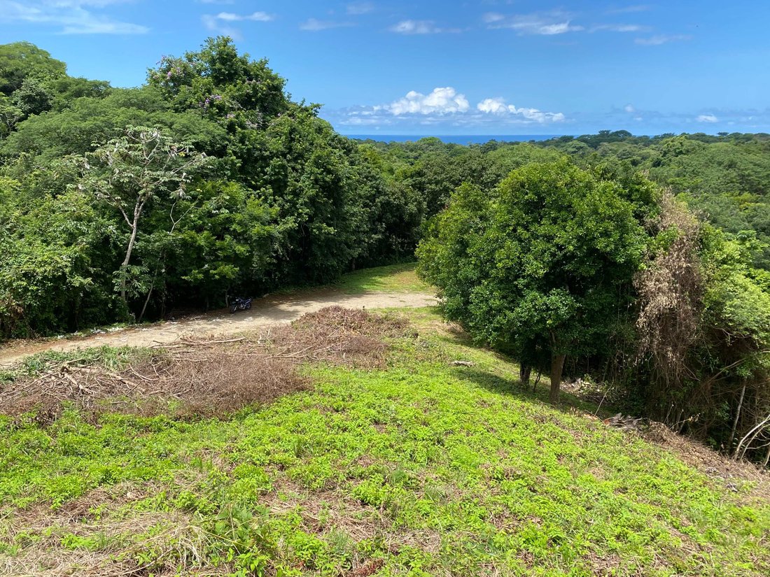 Land in Ostional, Santa Cruz, Costa Rica 2 - 15028181