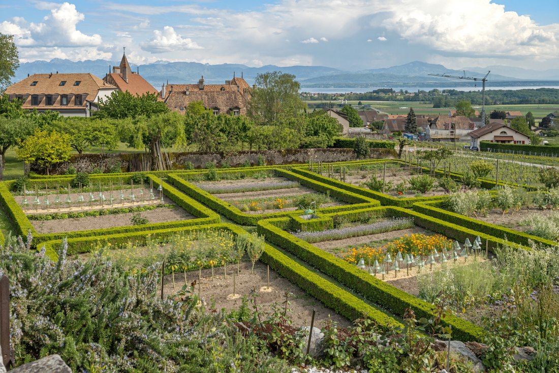 Le Rosey’s Timeless Embrace: A 13th-Century Château Crowned in Vine & Light