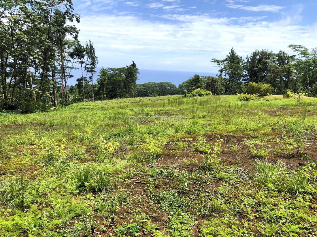 Land in Taiarapu-Est, Windward Islands, French Polynesia 1 - 14090453