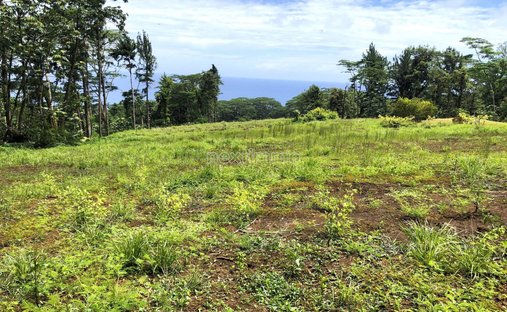 Land in Taiarapu-Est, Windward Islands, French Polynesia 1