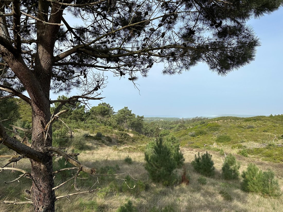 Land in Sesimbra (Castelo), Setubal, Portugal 1 - 15029651
