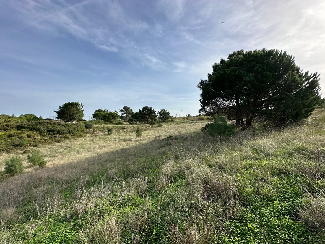Land in Sesimbra (Castelo), Setubal, Portugal 4 - 15029651