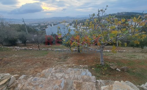 Land in Penteli, Attica, Greece 1