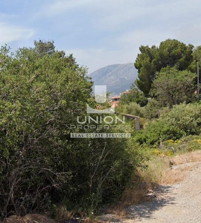Land in Anthousa, Attica, Greece 1 - 15030179