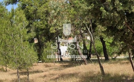 Land in Penteli, Attica, Greece 1