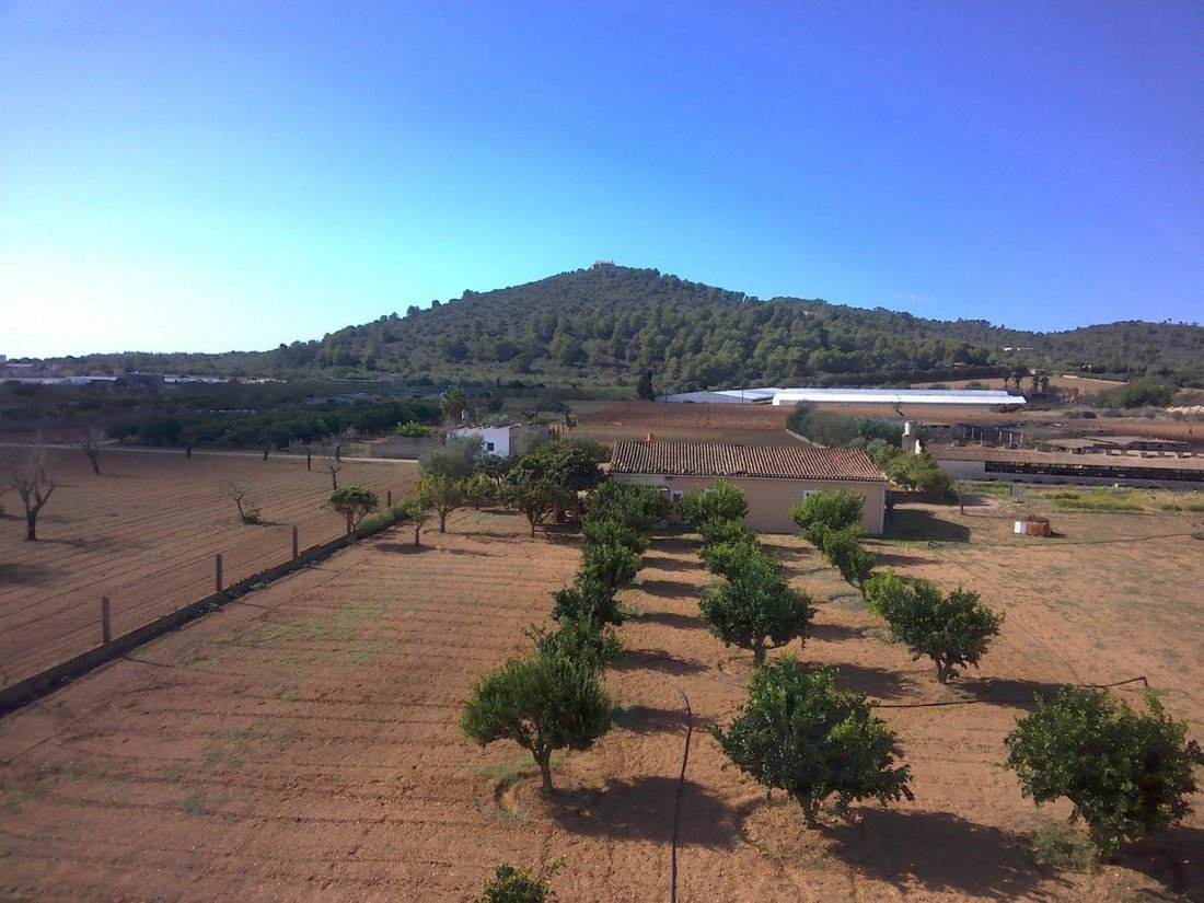 Villa in Porreres, Balearic Islands, Spain 1 - 15033930