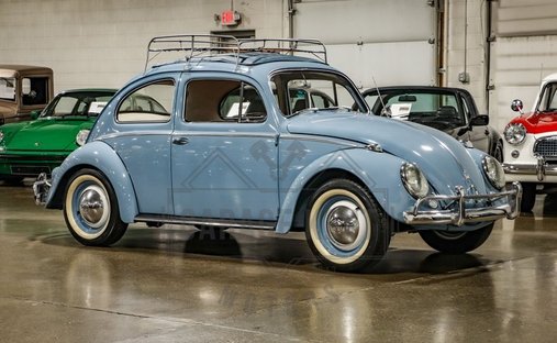Classic Bug in Grand rapids, United States 1