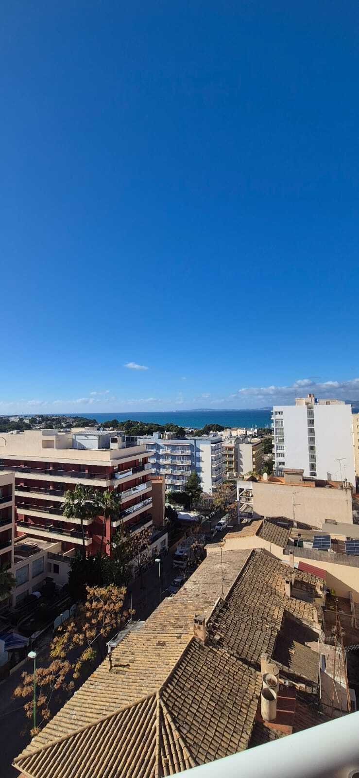 Apartment in Llucmajor, Balearic Islands, Spain 1 - 15035721