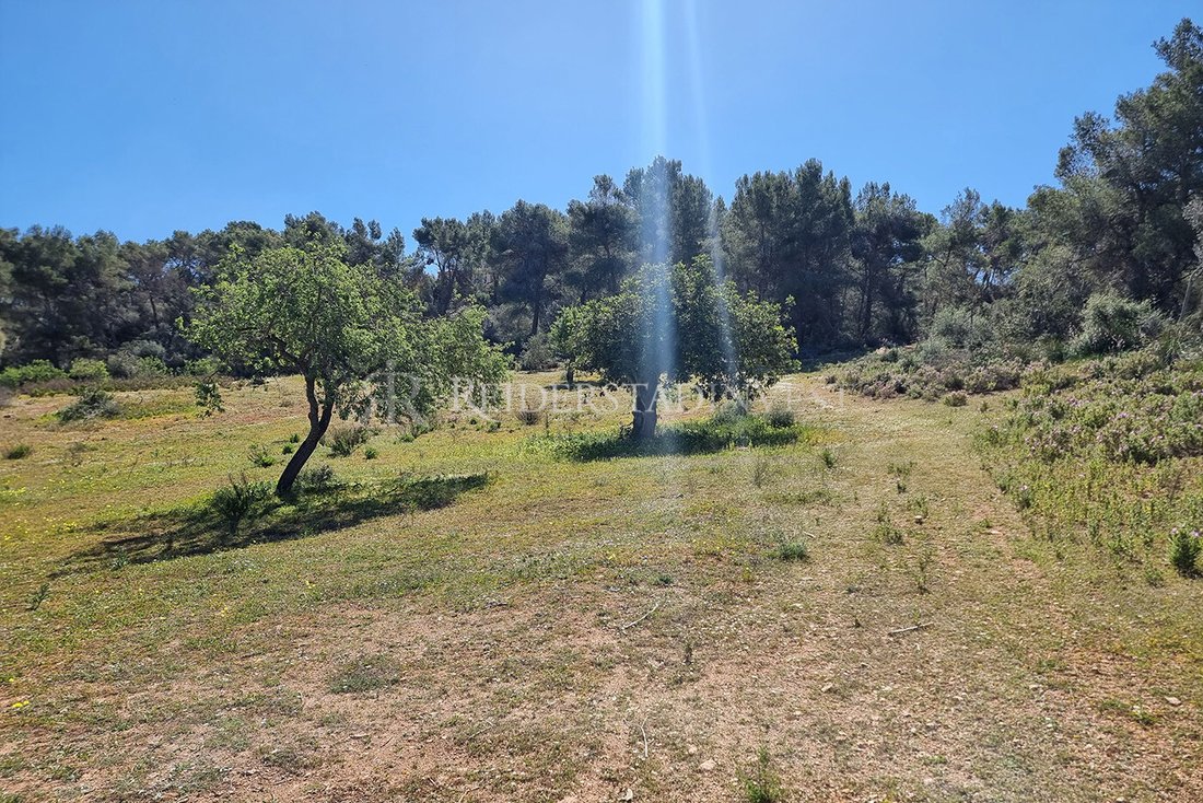 Land in Felanitx, Balearic Islands, Spain 5 - 14249324