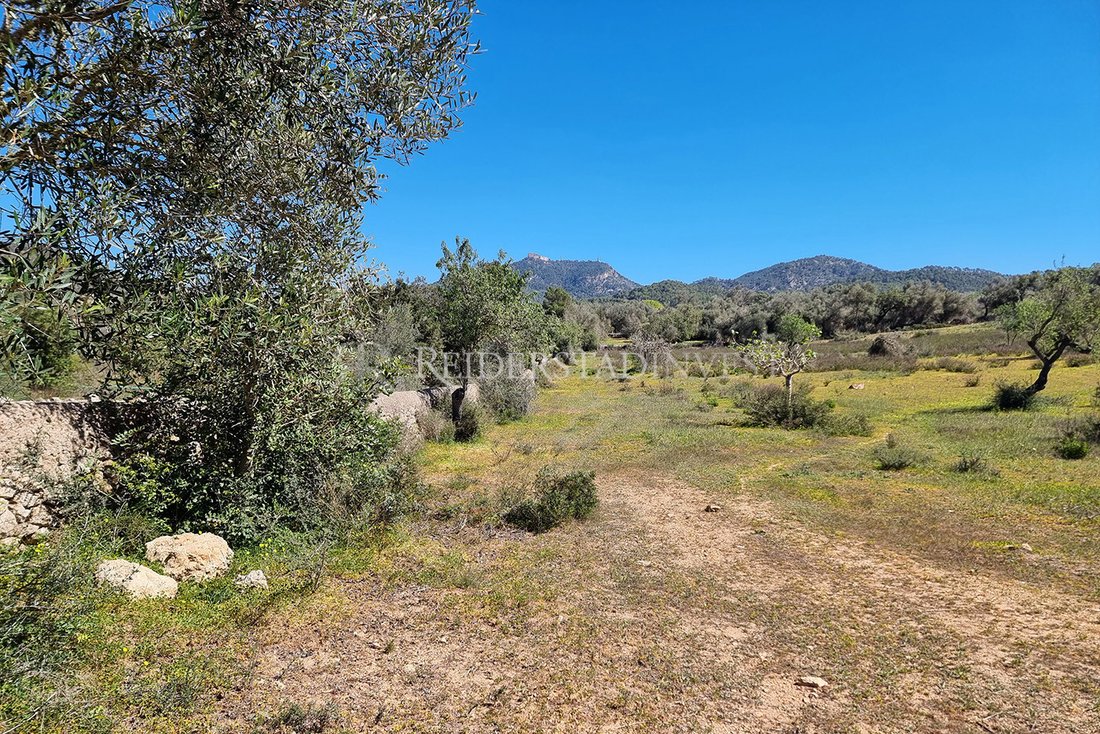 Land in Felanitx, Balearic Islands, Spain 4 - 14249324