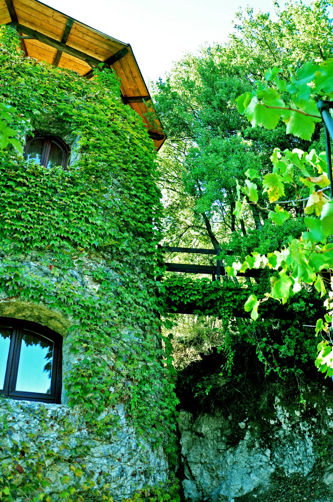 Villa in Corfu, Peloponnese, Western Greece and the Ionian, Greece 5 - 15042819