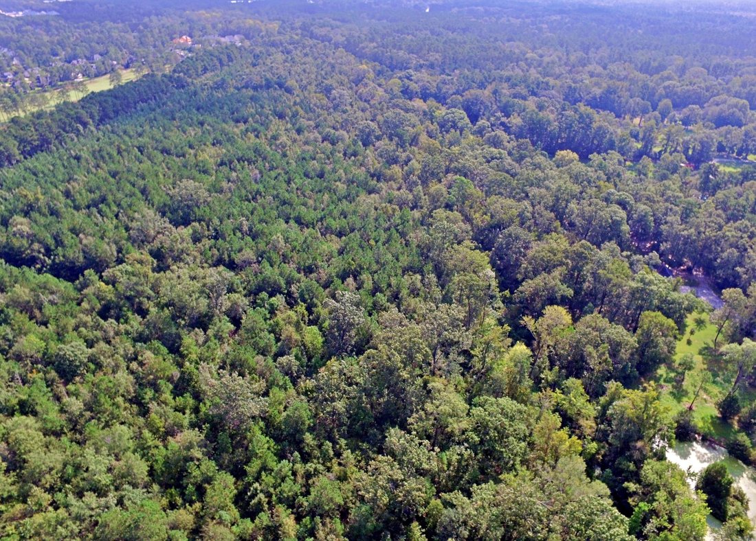 Land in Summerville, South Carolina, United States 5 - 15042567