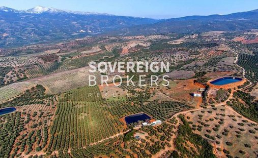 Land in Polygyros, Macedonia and Thrace, Greece 1