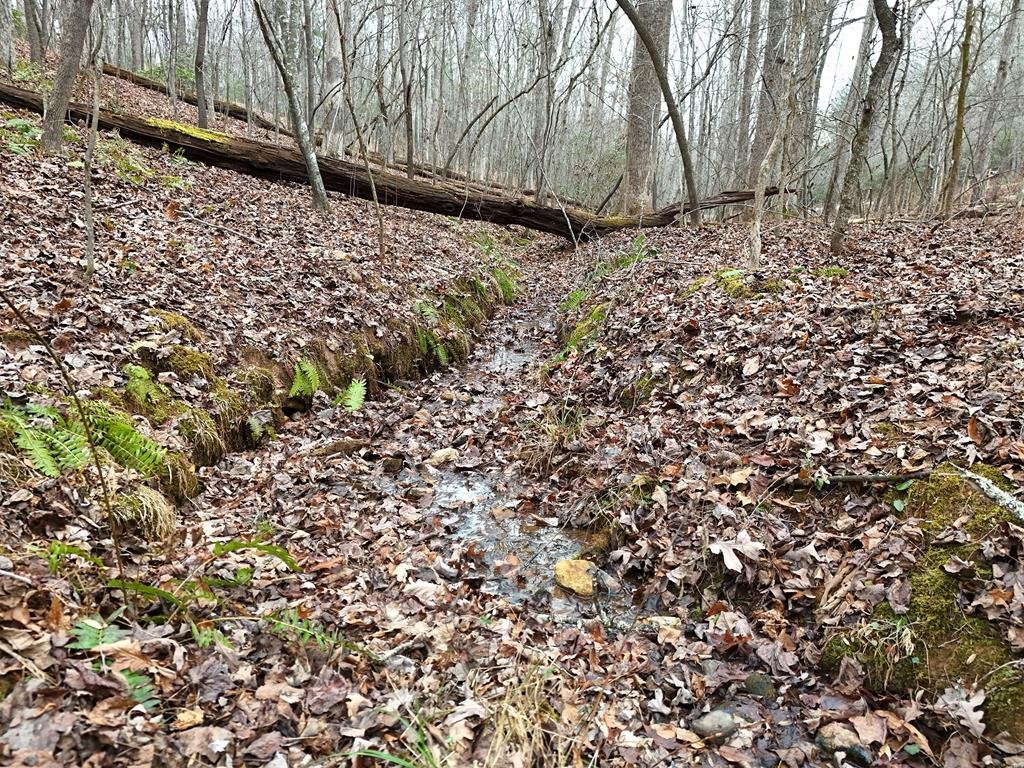 Land in Blue Ridge, Georgia, United States 3 - 15041527